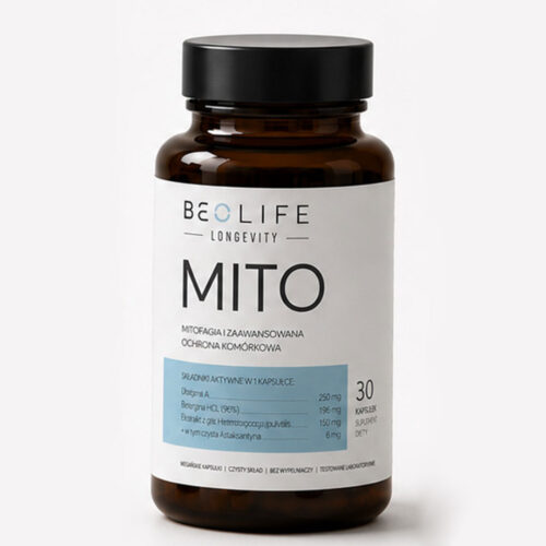 BEOLIFE LONGEVITY MITO